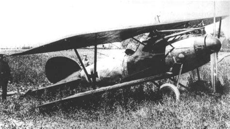 Germany's WWI Albatros D. Fighter Planes - The Mainstay of German Air ...