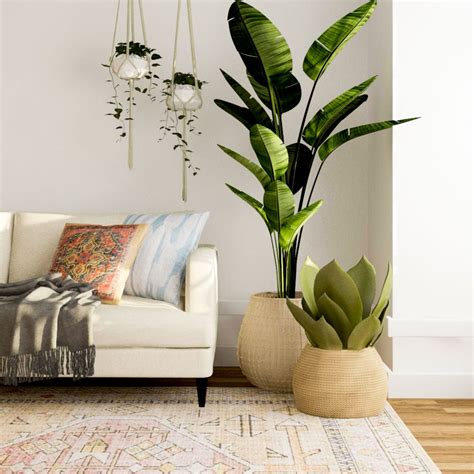 Fake Plants For Living Room | Baci Living Room