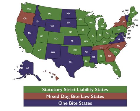 What You Need to Know about Dog Bite Insurance - PetScreening