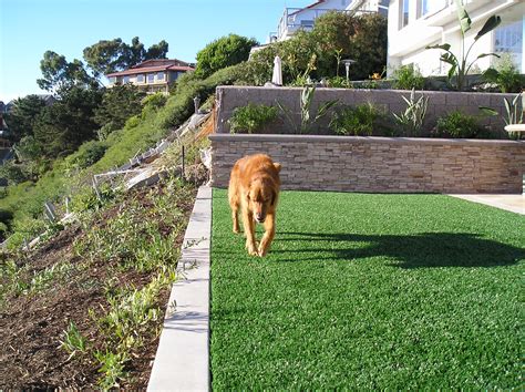 Pet Turf - Best Artificial Grass For Your Dogs