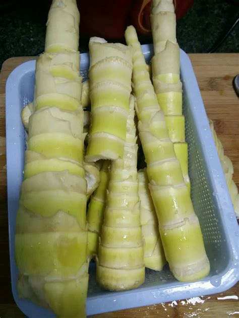 新鲜竹笋的处理方法怎么做_新鲜竹笋的处理方法的做法_豆果美食