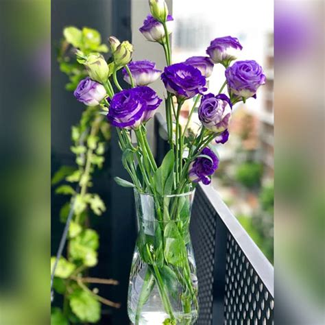 Pollinationdecor Blog