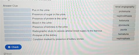 Solved: Answer Clue renal angiography Pus in the urine proteinuria ...