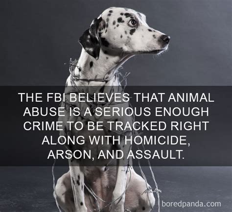 Image result for Random Happy Facts