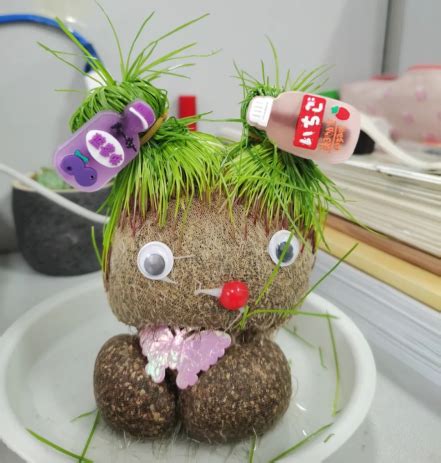草头娃娃头上长草头上开花小盆栽浇水长头发儿童种植幼儿园网红款-阿里巴巴