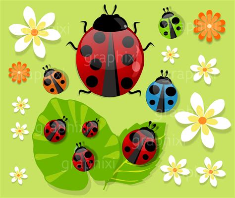 Ladybug Cartoon Clip Art
