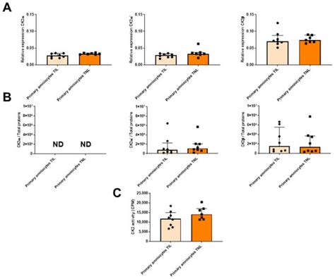 Characterization of RAGE and CK2 Expressions in Human Fetal Membranes