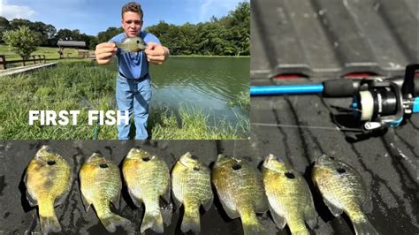 Image result for Clean and Cook Bluegill