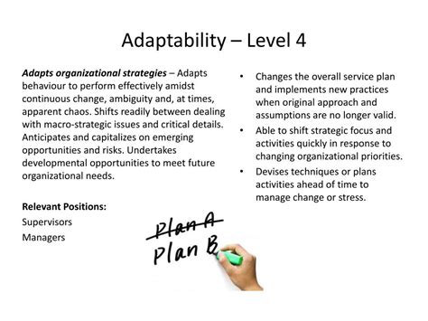 Competency Levels 的图像结果