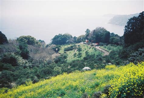 Image result for Princess Bride Graphics