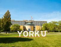 York University Acceptance Rate 2025 for International Students