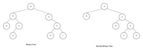 Tree Data Structure Python 的图像结果