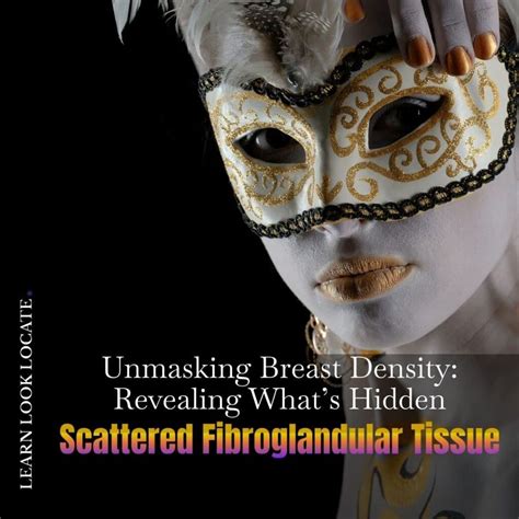 Scattered Areas Of Fibroglandular Density