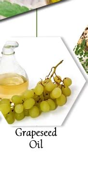 Company Overview - AMAR NATH EXPORTS