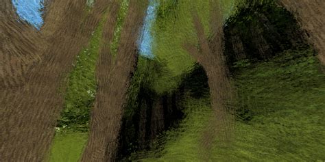 Image result for Equirectangular Forest