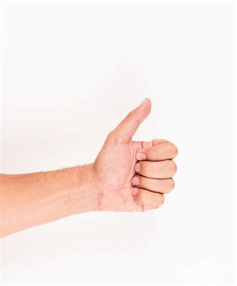 Man hand Photos - Download Free High-Quality Pictures | Freepik