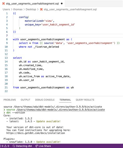 DBT Power User Vscode 的图像结果