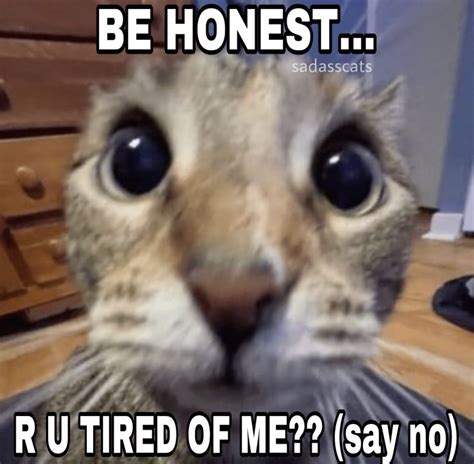 How About No Meme 的图像结果