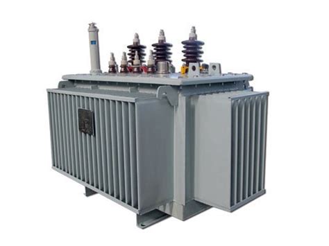 Image result for Transformer Overload