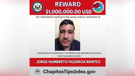 'Los Chapitos' key cartel member Jorge Humberto Figueroa Benítez 'El ...