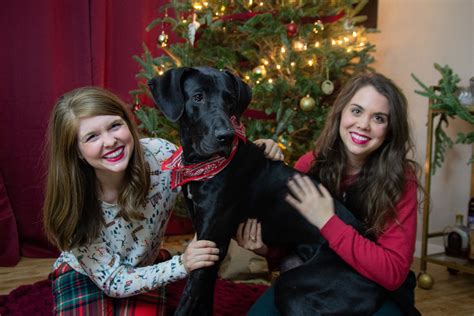 cute holiday pajamas, christmas pjs, aerie sleepwear, where to get cute ...