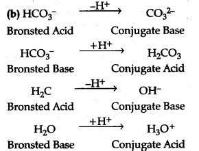(a)State Le-Chatelier's principle - CBSE Class 11 Chemistry - Learn ...