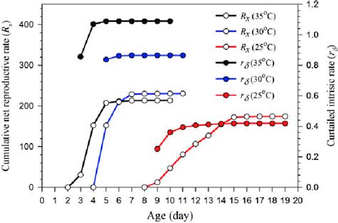 Image result for Net Reproductive Rate Formula Life Table