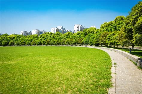 City and grass with blue sky | Free Photo