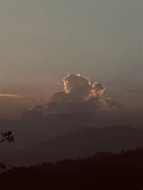 Image result for Random Snaps.com