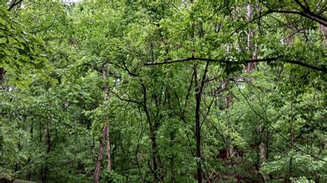 Image result for Acim Lesson 48