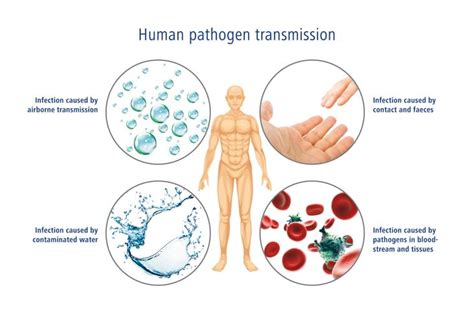 Image result for Pathogen of Humans