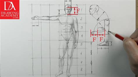 Proportion of the Human Body presented by Drawing Academy .com 33 - YouTube