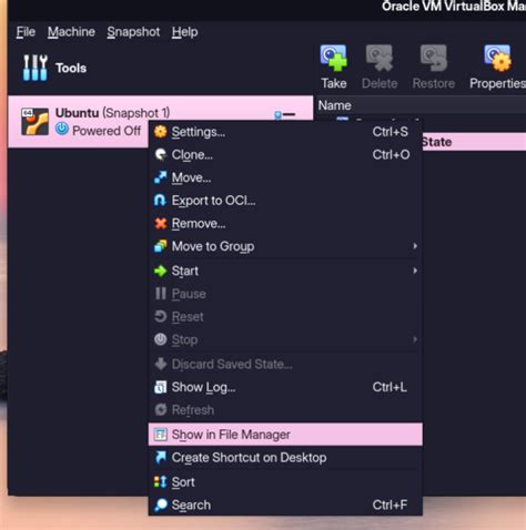 How to View File On Virtual Machine 的图像结果