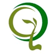 JIO FIN SERVICES LTD Share Price Today, Stock Price Live NSE/BSE