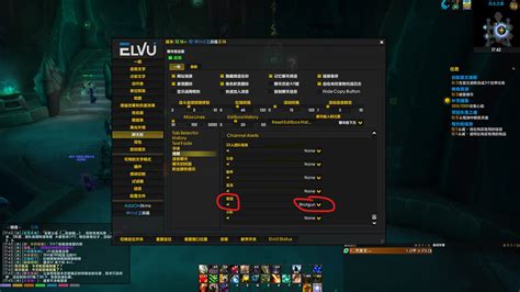 Config ElvUI 的图像结果