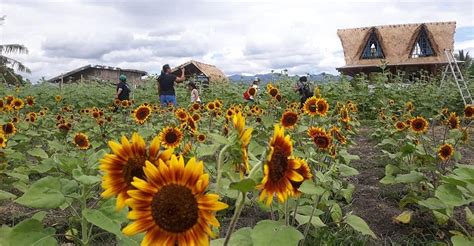 Tanjay Tourism (2023): Best of Tanjay, Philippines - Tripadvisor