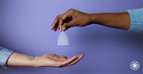 How To Use A Menstrual Cup at Lewis Caulfield blog