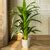Buy Planters & Plants Collection | Dekor Company