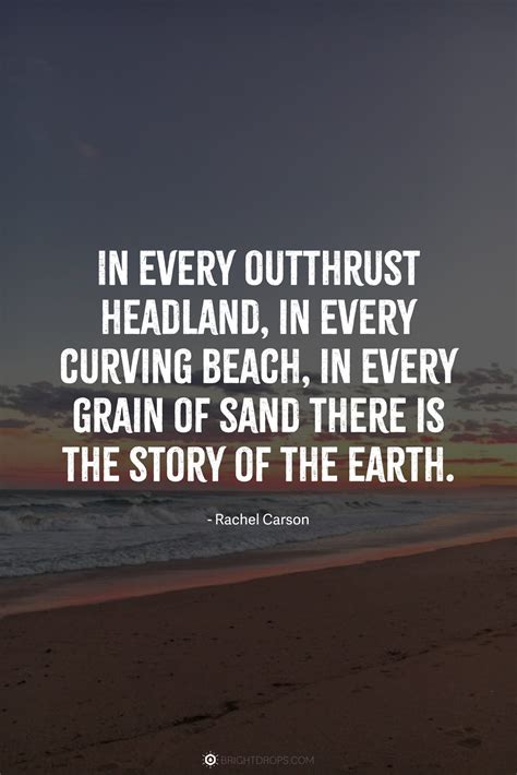 Wind Sand Quotes The Best Quotes And Captions About The Beach That Are
