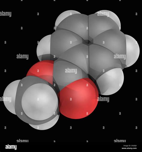 Methyl benzoate organic compound molecule - Stock Image - F017/0504 - Science Photo Library