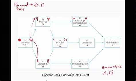 Project Network 的图像结果