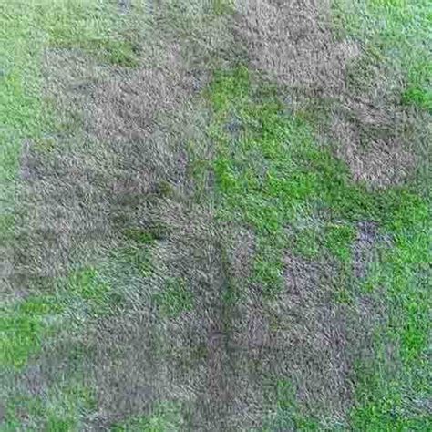 Jual Rumput Sintetis Bandung - Spesialis Rumput Sintetis Terbaik