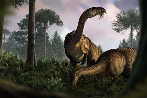 Fossilised droppings tell the story of dinosaurs' rise to power ...