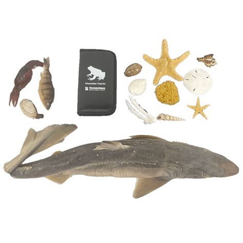 Image result for Molecular Biology Lab Kit