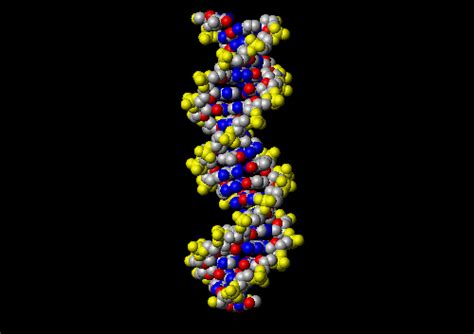 Image result for DNA 80 Box Mod