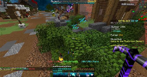 Image result for Hypixel Skyblock Guide