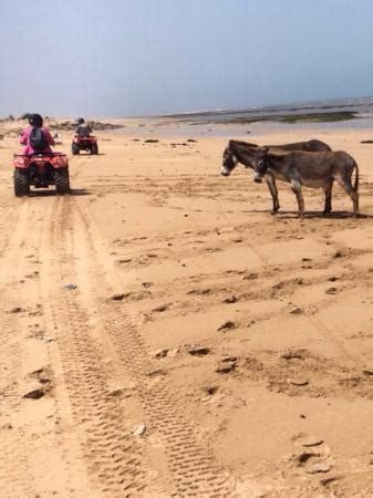 AICHA QUAD ESSAOUIRA - 2022 What to Know Before You Go