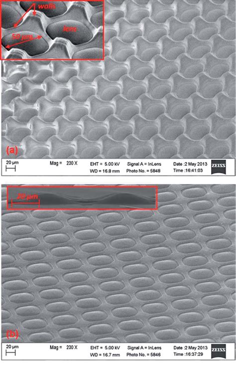 MicroLens Array 的图像结果