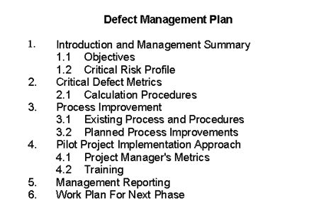 Image result for Defect Resolution Plan