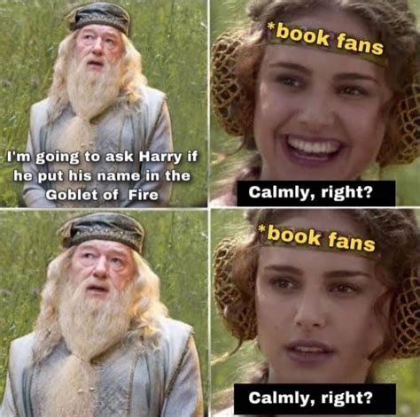 Dumbledore Goblet Of Fire Meme